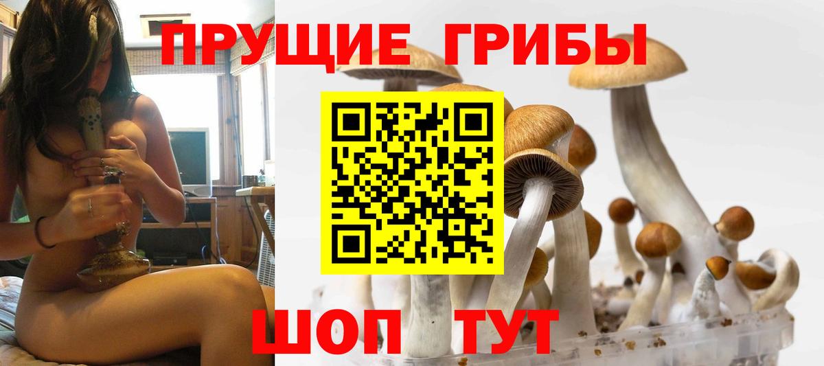 Сибай  магазин    Вход с VPN  Галлюциногенные грибы прущие грибы 